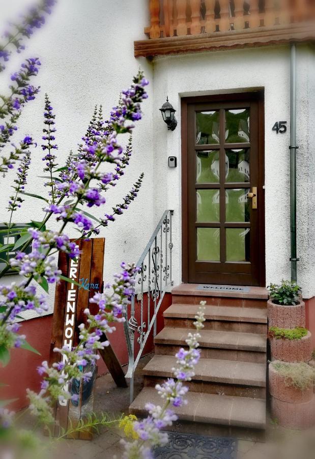Ferienwohnung Konz 메르지그 외부 사진